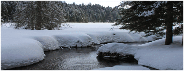 Winterlandschaft